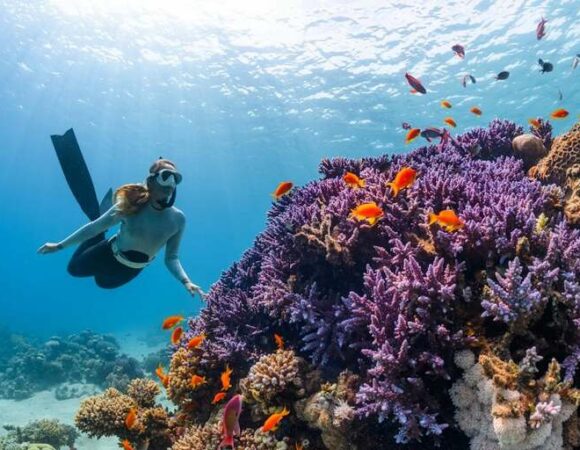 Scuba Diving Packages
