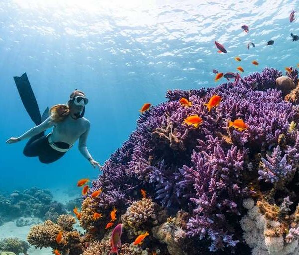 Scuba Diving Packages